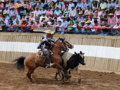 rodeo-clasificatorio