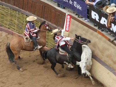 rodeo-jornada-1-01