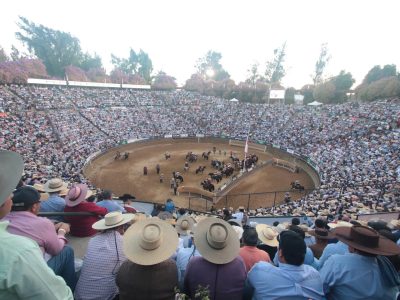 rodeo medialuna
