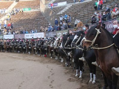 rodeo