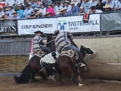 rodeo repechaje