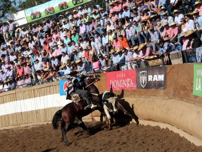 rodeo san fernando 02