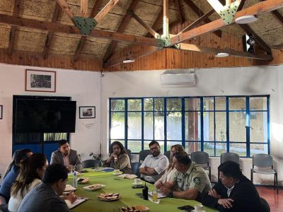 seguridad publica graneros 1