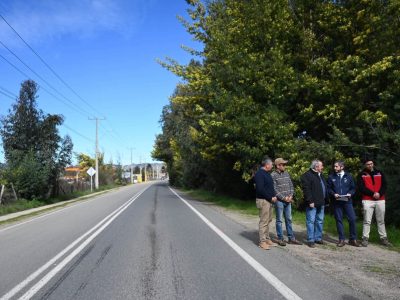seguridad vial pumanque
