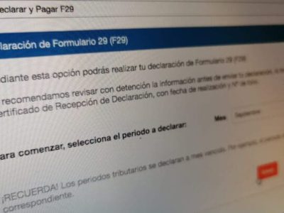 sii formulario 29
