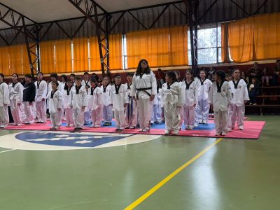 taekwondo 1