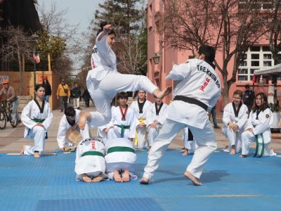 taekwondo graneros 1