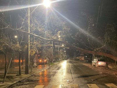 temporal 1