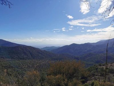valle central
