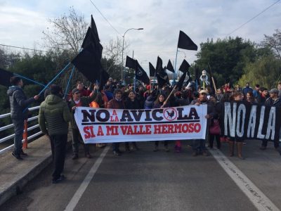 vecinos (1)