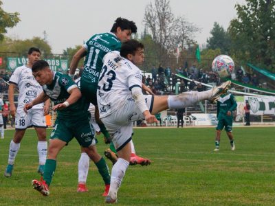 velasquez colchagua 1