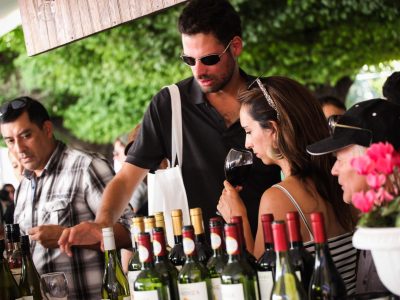 vendimia colchagua 1
