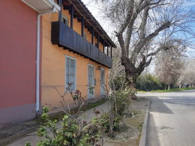 zuniga 5